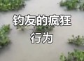 保护区里的疯狂垂钓,保护区里的疯狂垂钓是什么