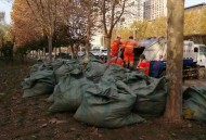 去世3年邻居帮扫落叶,邻居家树叶飘落至我院中及家中怎么办？