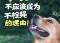 史上最严养犬新规,史上最严养犬新规定是什么