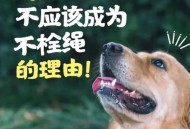 史上最严养犬新规,史上最严养犬新规定是什么