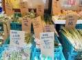 中国输美蔬菜卖日本,中国出口日本蔬菜需要什么手续？
