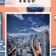 中国措施超日本预期,日本移植外来文化的措施？