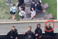 中国留学生遭群殴,中国留学生遭殴打