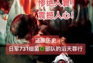 电影731破10项纪录,电影731公映时间？