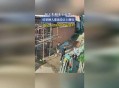 包工头砍树被刑拘,伐木工人受伤包工头需要赔偿吗？