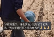 田地突冒火烧1天1夜,火烧的土地对苗有影响吗？