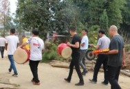 老人烧山被判11年,老人烧山被判11年有案底吗