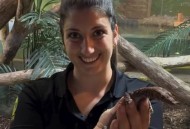 泰国弃婴遭巨蜥啃食,泰国蜥蜴有毒么？