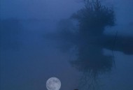 坠谷生还后被烧死 ,五绝之中有三人联手，在绝情谷中为何还没杀死金轮法王？