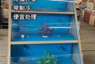 赤脚站水缸清海鲜柜,