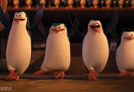 高校3千人跳企鹅舞,跟企鹅共享平台合作的高校多吗？