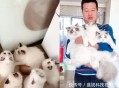 老人养18只猫被起诉,老人养18只猫被起诉怎么处理