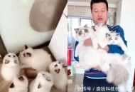 老人养18只猫被起诉,老人养18只猫被起诉怎么处理