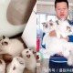 老人养18只猫被起诉,老人养18只猫被起诉怎么处理