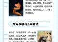 景区巨型蛇头被覆盖,景区有蛇怎么处理？