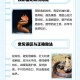 景区巨型蛇头被覆盖,景区有蛇怎么处理?