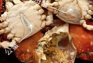 蟹藏车内2年才取出,螃蟹放车里能活多久? 蟹藏车内2年才取出,螃蟹放车里能活多久?