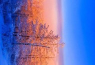 漠河北极村再现极光,漠河北极村极光什么时候出现过