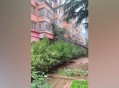河北沧州出现巨响,沧州市上午轰隆一声怎么回事？