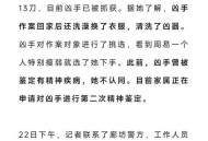 被前夫刺15刀身亡,丈夫对妻子施暴15年结局怎么样？