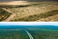 黄土高原变绿了,陕西黄土高坡怎么变绿了？