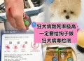 给狗戴隐形眼镜,狗自带狂犬病毒吗？