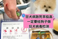 给狗戴隐形眼镜,狗自带狂犬病毒吗？