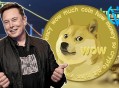 马斯克被做成机器狗,狗狗币火了，推文助涨7%，比特币涨至5.7万美元，马斯克已建仓？呼吁"大股东"抛售是为何？