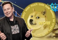 马斯克被做成机器狗,狗狗币火了，推文助涨7%，比特币涨至5.7万美元，马斯克已建仓？呼吁"大股东"抛售是为何？