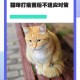 猫打疫苗6天后死亡,猫咪注射了过期疫苗？