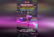 黑熊超市咬人被击毙,黑熊超市咬人被击毙视频