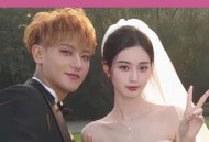 鹿晗没去黄子韬婚礼,鹿晗演唱会黄子韬张艺兴去了吗？