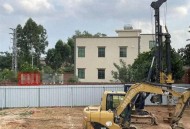 包工头砍树被刑拘,工地砍树