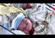 传奇双胞胎同日去世,传奇双胞胎家族