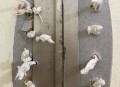 公厕偷拍被抓后求饶,公厕偷拍被抓后求饶视频