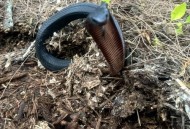 误蹦蛇窝还遇2条蛇,我家经常有蛇盘着一个圈在院子里。请问怎么赶走?这是什么征兆?谢谢？