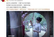 李子柒再次停更1年,李子柒再次停更1年了