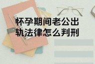 被判刑后4年3次怀孕,坐牢可以让家属怀孕吗？