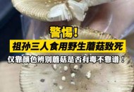 男童吃毒蘑菇去世,【吃菌中毒症状有哪些】？