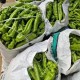部分商超搬空剩辣椒,超市里辣椒卖不完怎么保存新鲜的?