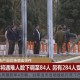 伊朗发生恐袭,伊朗发生恐袭 10名边境警察死亡