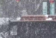郑州明天将迎来大雪,郑州明天将迎来大雪吗
