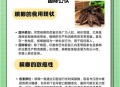 1亿国人在嚼槟榔,我国嚼槟榔最多的省份排行榜？