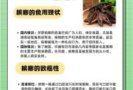 1亿国人在嚼槟榔,我国嚼槟榔最多的省份排行榜？