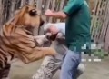 驯兽师遭虎袭击身亡,训老虎的人为什么不怕老虎呢？