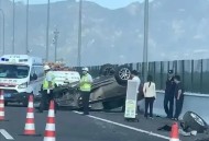 游客自驾撞死6匹马,河南男子边开车边喝酒，车后还遛着一匹马，你怎么看待这件事？