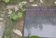 无名男子家属疑现身,无名尸体能否被家属认领寻回？