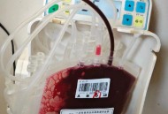 21年献血300次,献血300毫升是多少斤？