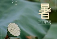 今天处暑,今天的处暑节什么时间开始？