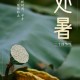 今天处暑,今天的处暑节什么时间开始？